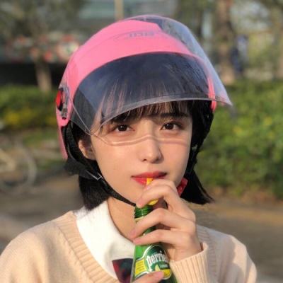 暗黑黎明2安锋版下载